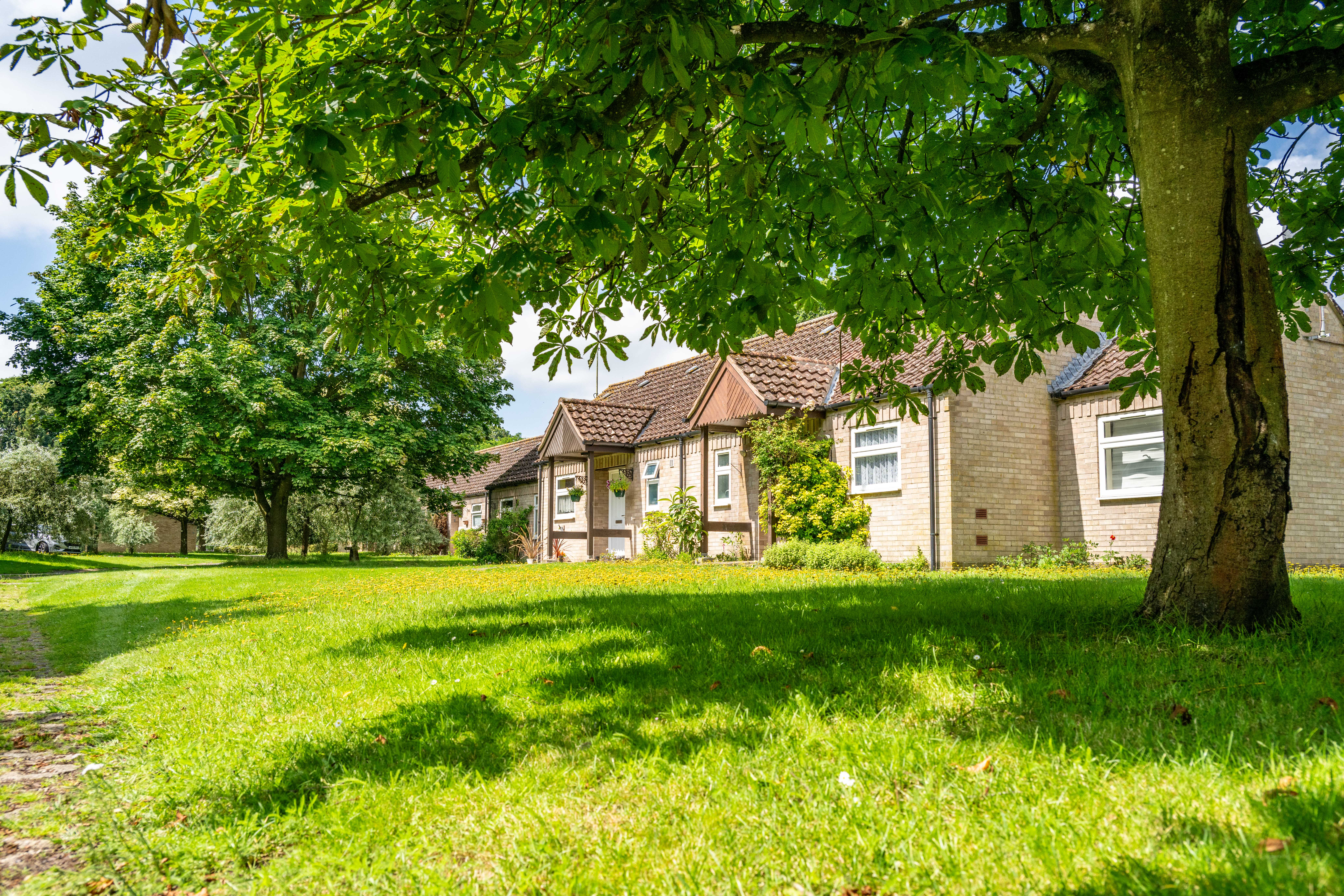 We’re trialling a chemical-free grounds maintenance service!